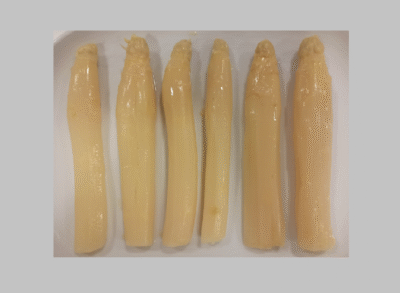 Espàrrecs blancs extra Navarra