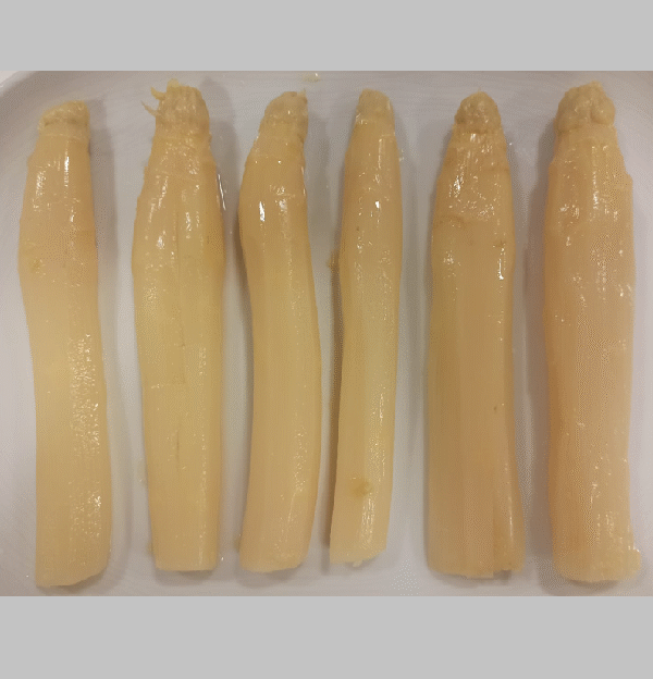 Espàrrecs blancs extra Navarra