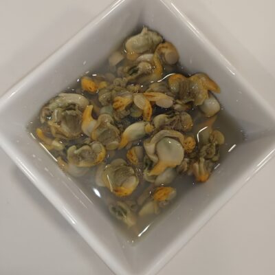 escopinyes al natural del cantàbric