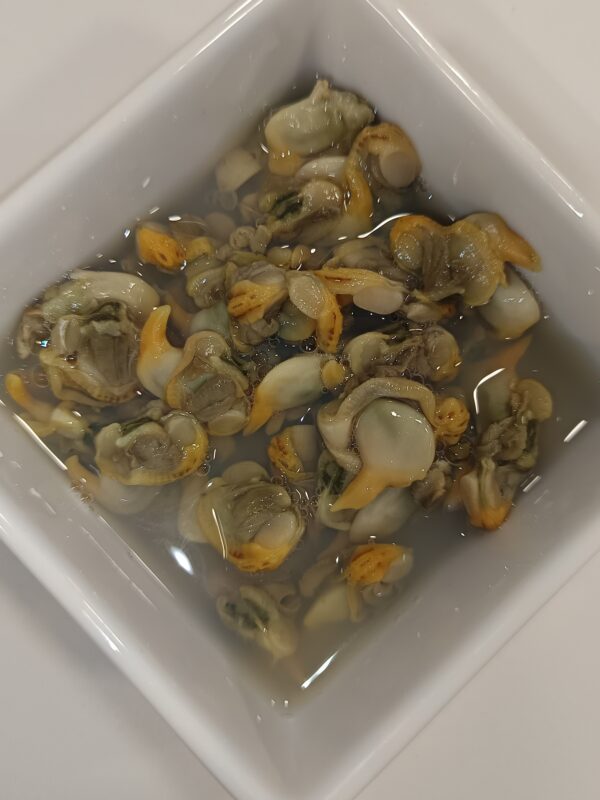 escopinyes al natural del cantàbric