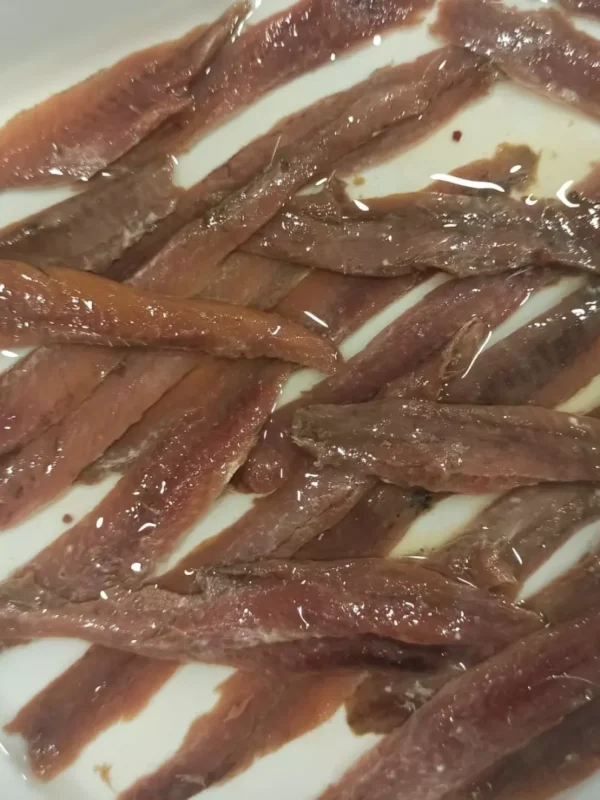 anxoves del cantàbric